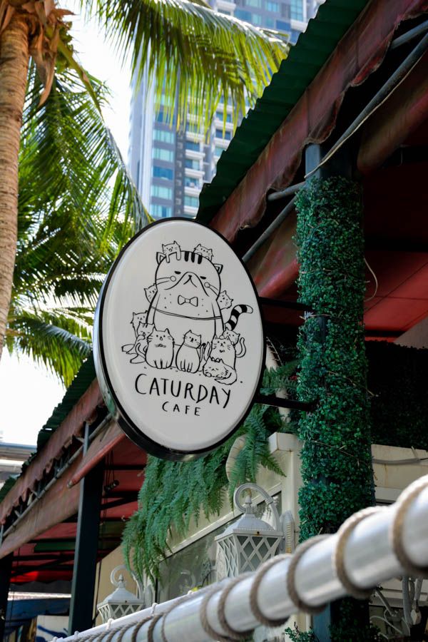 รีวิว Caturday Cat Cafe คาเฟ่แมวเหมียว ติด BTS ราชเทวี