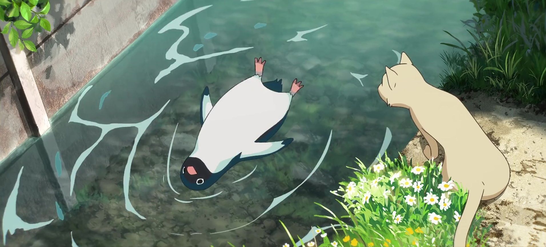 ไปดูมาแล้วกับ Penguin Highway การ์ตูนภาพสวย แต่เด็กไม่เข้าใจ