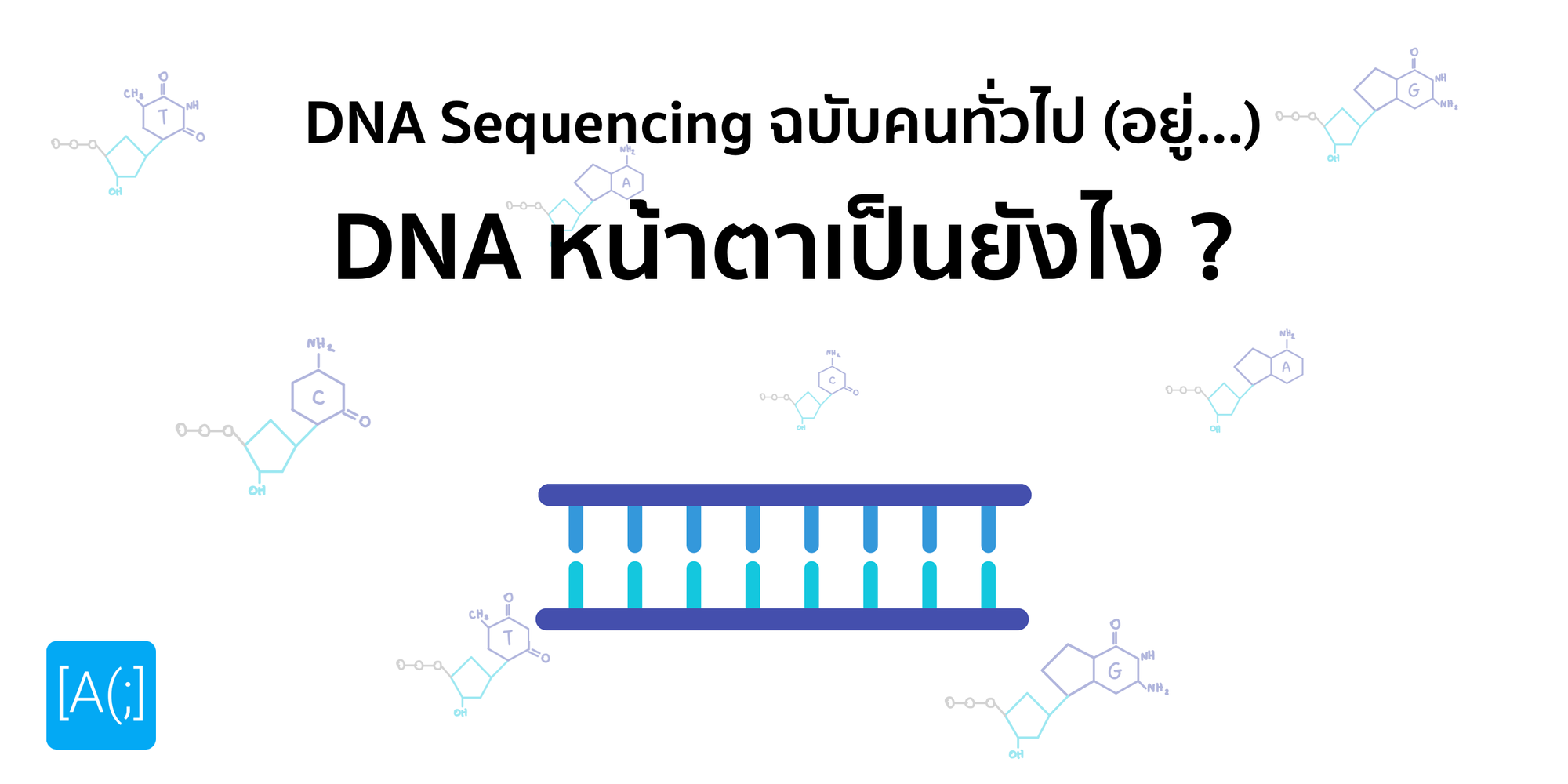 DNA Sequencing ฉบับคนทั่วไป (อยู่) ตอน 1 : DNA หน้าตาเป็นยังไง ?