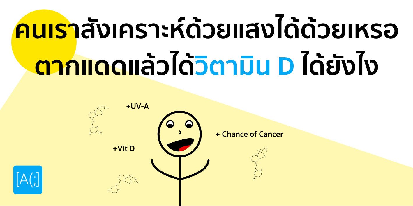 คนเราสังเคราะห์ด้วยแสงได้ด้วยเหรอ ตากแดดแล้วได้วิตามิน D ได้ยังไง