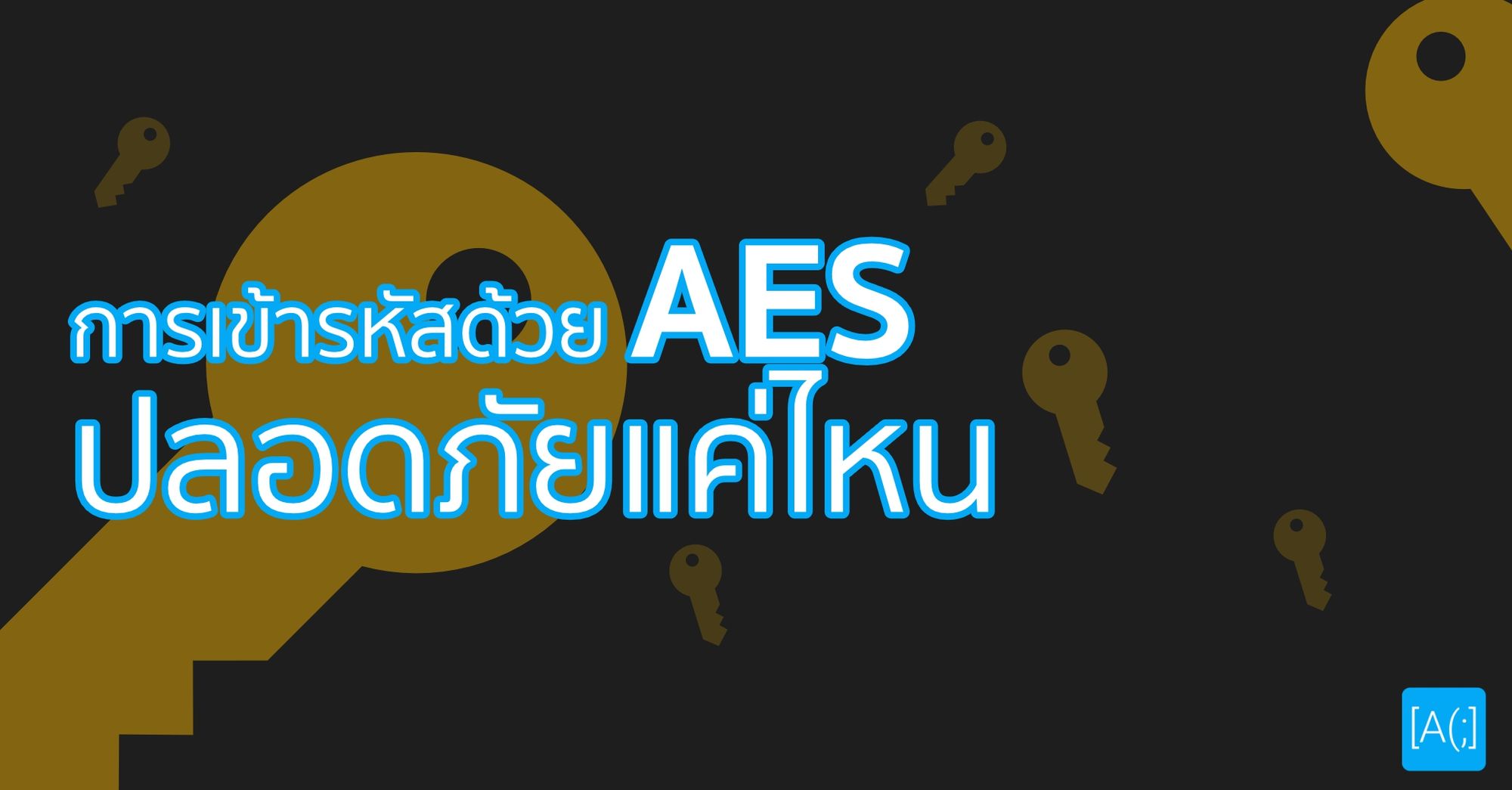 การเข้ารหัสด้วย AES ปลอดภัยแค่ไหน